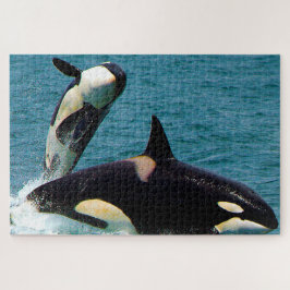 Jigsaws Orka's of Zwaardwalvissen Legpuzzel
