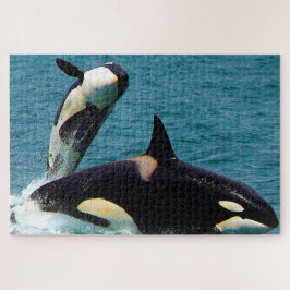Jigsaws orka's of zwaardwalvissen legpuzzel