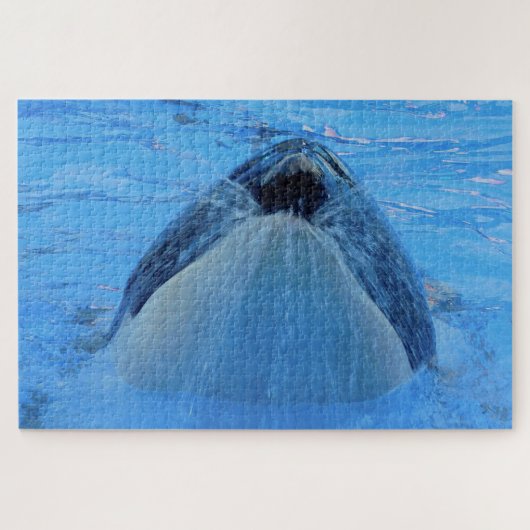 Jigsaw's orka's of zwaardwalvissen legpuzzel (Horizontaal)