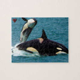 Jigsaws Orka's of Zwaardwalvissen Legpuzzel