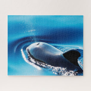 Jigsaws Pilot Whales Legpuzzel
