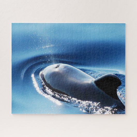 Jigsaws Pilot Whales Legpuzzel (Horizontaal)
