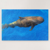 Jigsaws Pilot Whales Legpuzzel (Horizontaal)