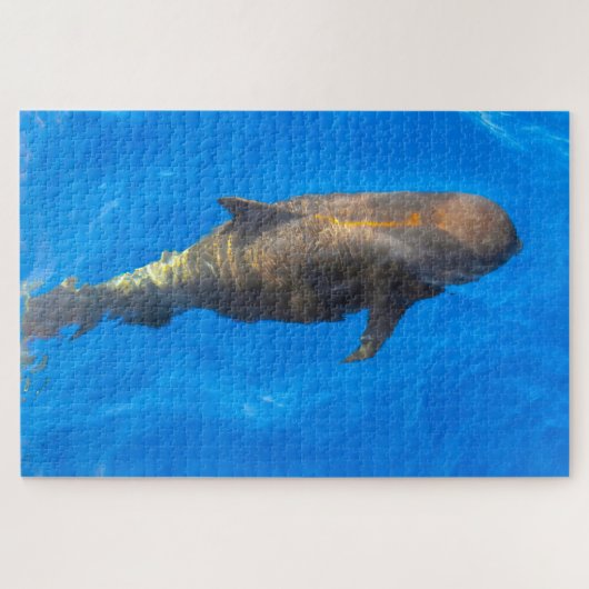 Jigsaws Pilot Whales Legpuzzel (Horizontaal)