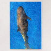 Jigsaws Pilot Whales Legpuzzel (Verticaal)