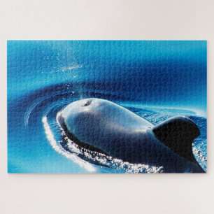 Jigsaws Pilot Whales Legpuzzel