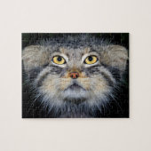 jigzaag - bleekkat legpuzzel (Horizontaal)