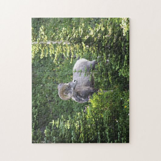 Jigzaag Glacier National Park Montana. Legpuzzel (Verticaal)