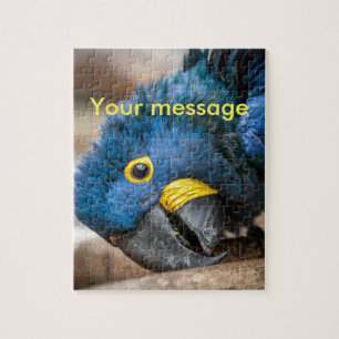 Jigzaag puzzel schatblauwe Hyacinth Macaw parrot