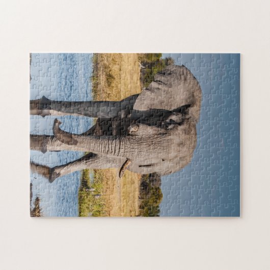 Jigzaag puzzel van olifant in het wild. legpuzzel (Horizontaal)