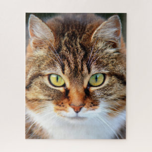 Jigzaag Puzzle Legpuzzel