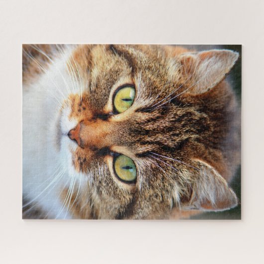 Jigzaag Puzzle Legpuzzel (Horizontaal)