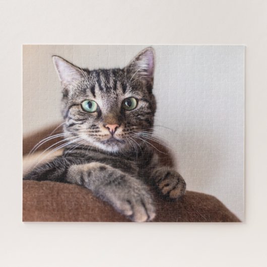 Jigzaag Puzzle Legpuzzel (Horizontaal)