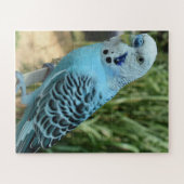 Jigzaag Puzzle Legpuzzel (Horizontaal)