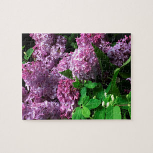 Jigzaag Puzzle:  LILACS Legpuzzel