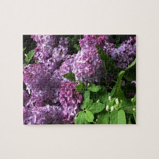 Jigzaag Puzzle:  LILACS Legpuzzel (Horizontaal)