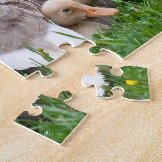 Jigzaag Puzzle: Mallardeenden en eenden Legpuzzel (Zijkant)