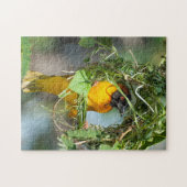 Jigzaag Puzzle of a Weaver Bird Legpuzzel (Horizontaal)