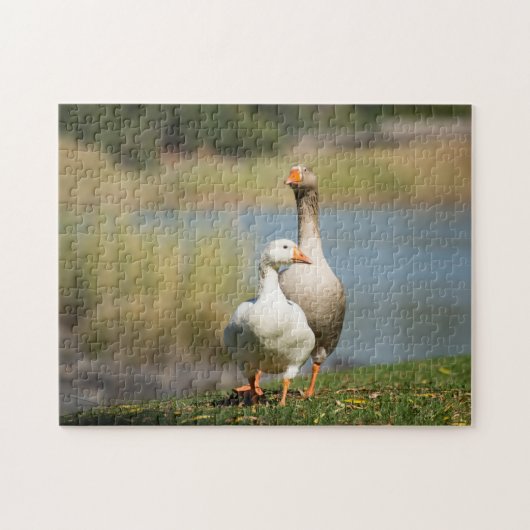 Jigzaag Puzzle of Two-Geese Legpuzzel (Horizontaal)