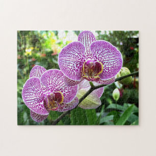 Jigzaag Puzzle Paarse Freckeerde Orchideeën Legpuzzel