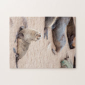 Jigzaag puzzle Seal Cub Legpuzzel (Horizontaal)