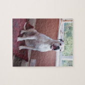 Jigzaag Puzzle: White Boxer Dog Legpuzzel (Horizontaal)