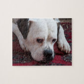 Jigzaag Puzzle: White Boxer Dog Legpuzzel (Horizontaal)