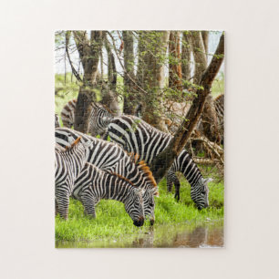 Jigzaag puzzle Zebras door de rivier Legpuzzel