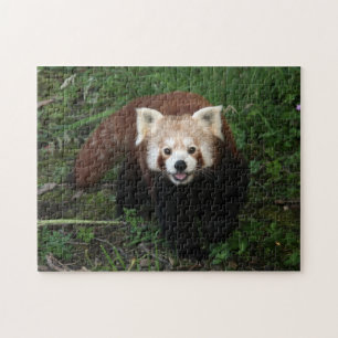 jigzaag - rode panda legpuzzel
