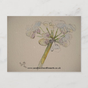 Jigzaagreeks - Cow parsley 2010 Briefkaart