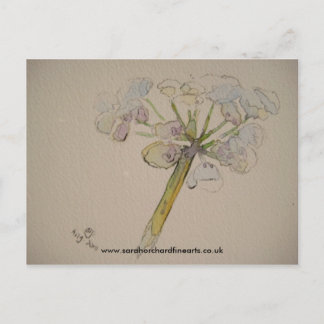 Jigzaagreeks - Cow parsley 2010 Briefkaart