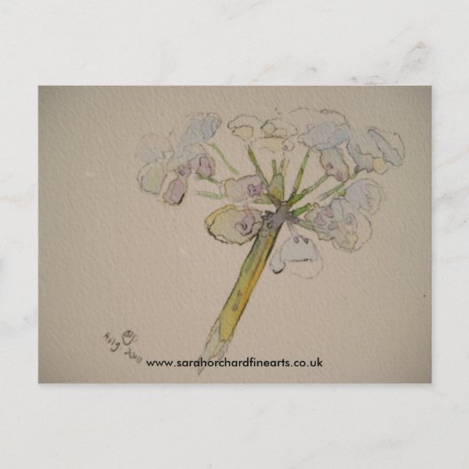 Jigzaagreeks - Cow parsley 2010 Briefkaart (Voorkant)