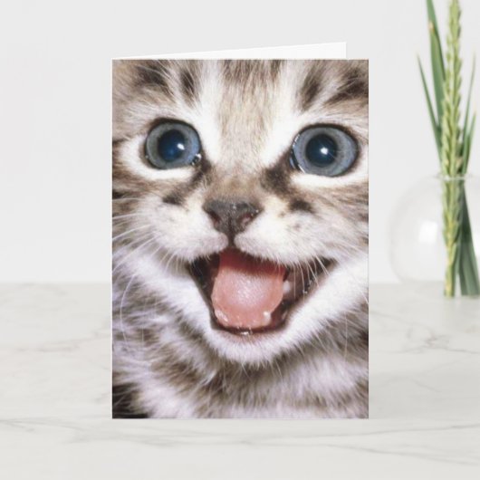 Jij bent de kattenmiauw! Grappige kattenkaart Bedankkaart (Voorkant)