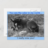 Jij bent de kleur van mijn wereld briefkaart (Voorkant / Achterkant)