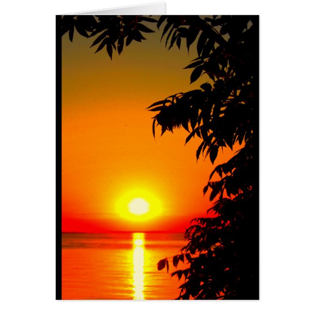 Jij bent de zonneschijn van mijn leven! (Voorkant)