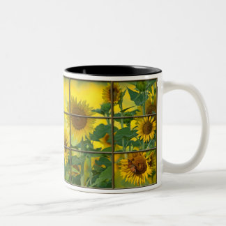 Jij bent de zonneschijn van mijn leven tweekleurige koffiemok