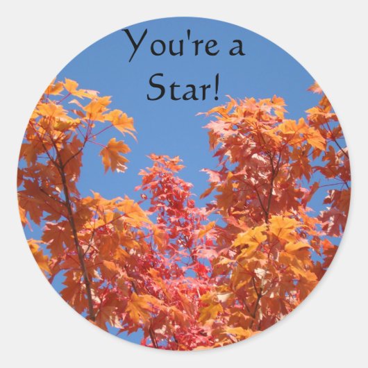 Jij bent een Ster! stickers Herfst Boom Bladeren B (Voorkant)