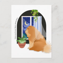 JIJ BENT ER IETS ANDERS briefkaart VAN DE Chow