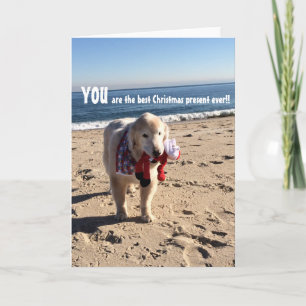 Jij bent het beste kerstcadeau ooit - kaart