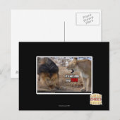 Jij bent het! briefkaart (Voorkant / Achterkant)