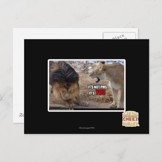 Jij bent het! briefkaart (Voorkant / Achterkant)