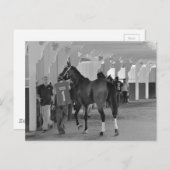 Jij bent Killin door Adios Charlie Briefkaart (Voorkant / Achterkant)