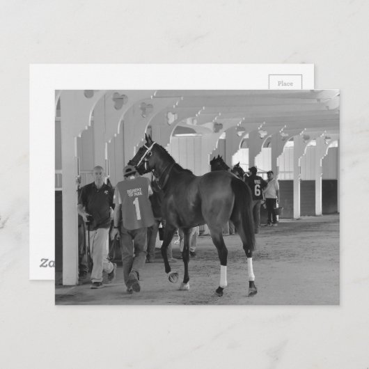 Jij bent Killin door Adios Charlie Briefkaart (Voorkant / Achterkant)