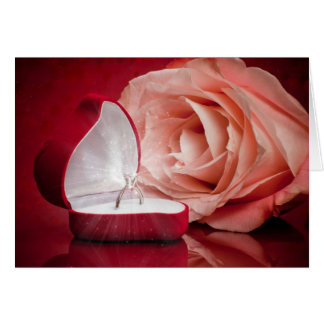 Jij bent mijn briljante