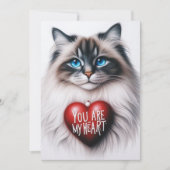 Jij Bent Mijn Hart Valentijn Gedicht Maine Coon Ka Feestdagenkaart (Voorkant)