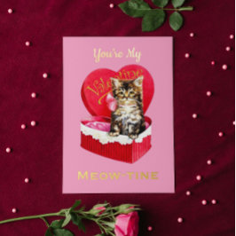 Jij Bent Mijn Meow-tine Schattige Vintage Kat Vale Folie Wenskaart