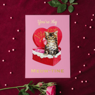 Jij Bent Mijn Meow-tine Schattige Vintage Kat Vale Folie Wenskaart