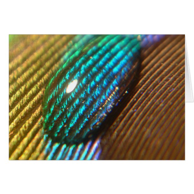 Jij bent mijn RAINBOW (Voorkant Horizontaal)