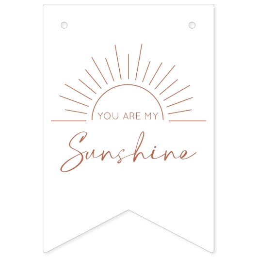 Jij bent mijn Sunshine Baby shower Bunting Flags Vlaggetjes (Tweede vlag)