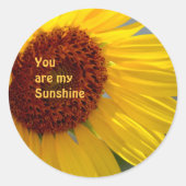Jij bent mijn Sunshine Sunflower Ronde Sticker (Voorkant)